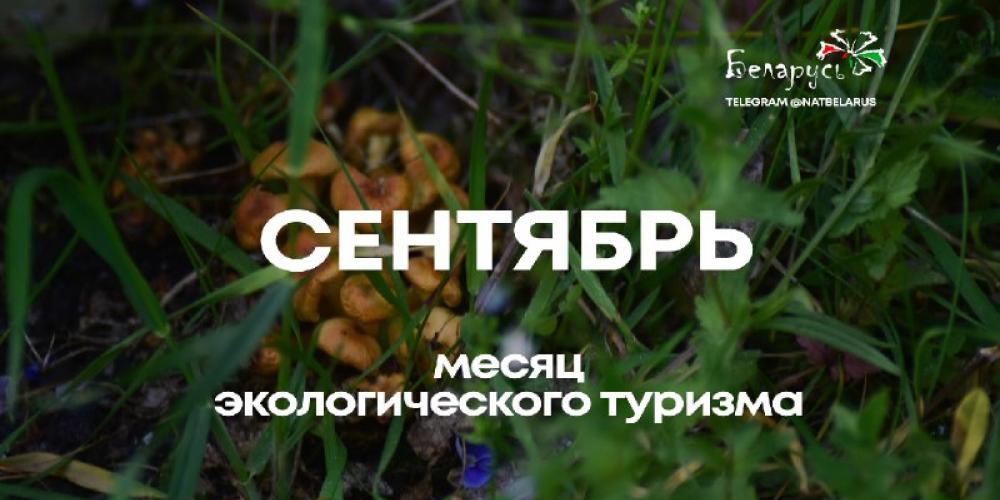 В Беларуси сентябрь объявлен месяцем экологического туризма!
